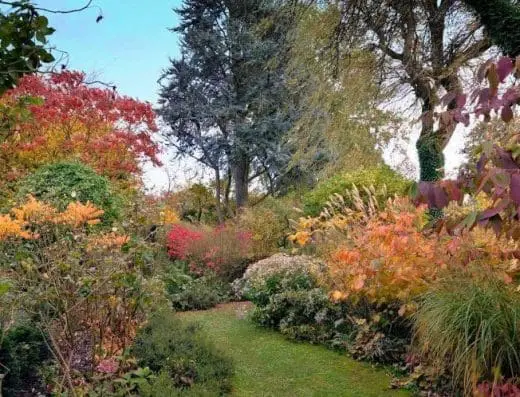 Visite du jardin de Coudray