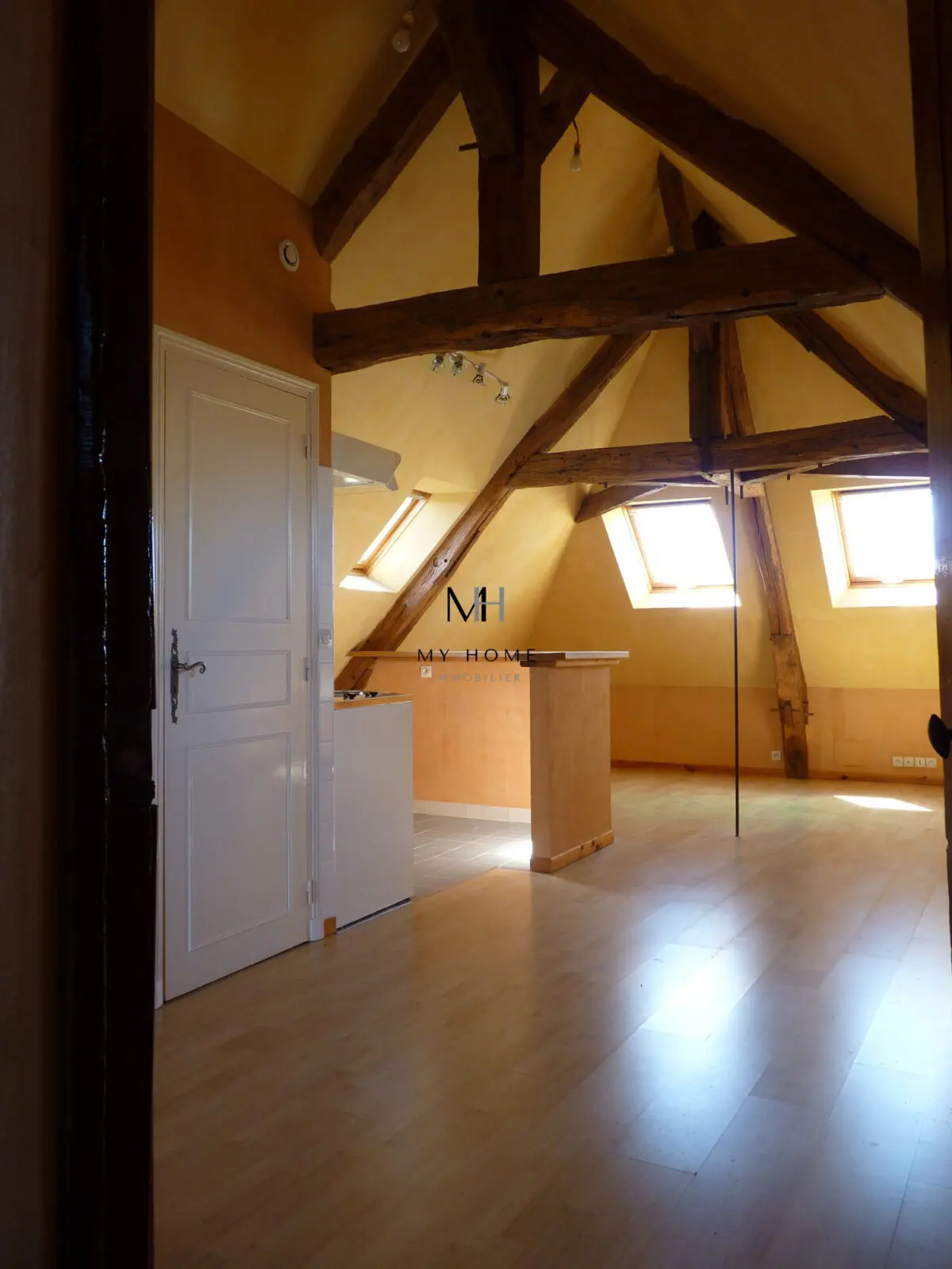 IMMEUBLE DANS LE PERCHE
