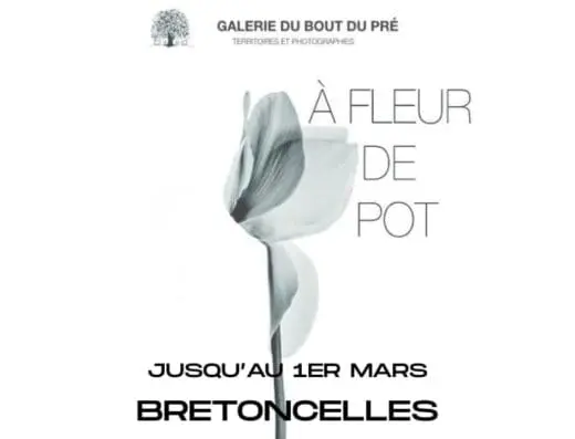 « À Fleur de Pot » – Exposition à la Galerie du bout du Pré