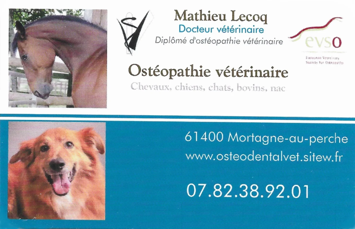 Mathieu Lecoq Osteokinevet vétérinaire