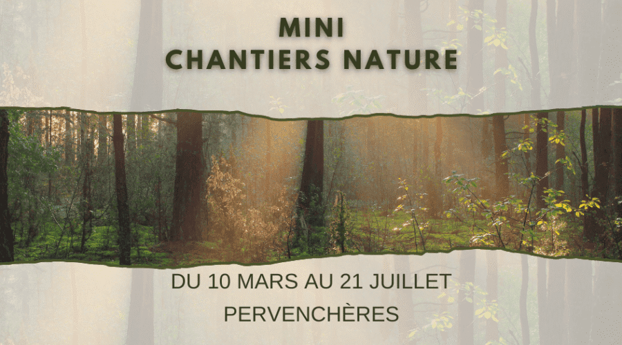 Sortir cette semaine dans le Perche – du 9 mars au 15 mars 2026