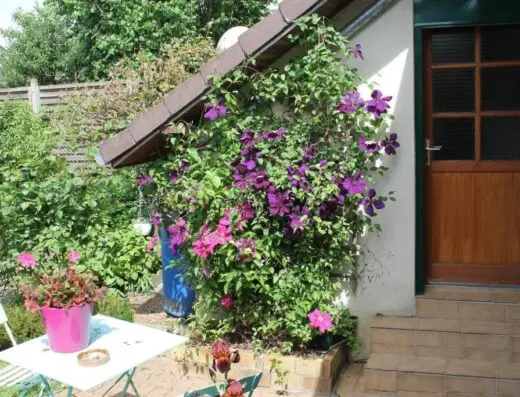 Chambre d&rsquo;Hôtes « Orchidees »