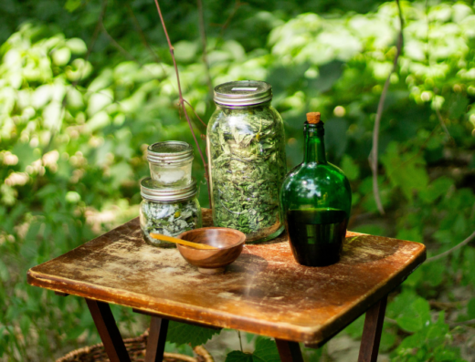 Découverte des plantes médicinales