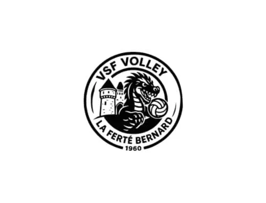 VSF Volley-Ball