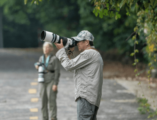 Stage photographie nature