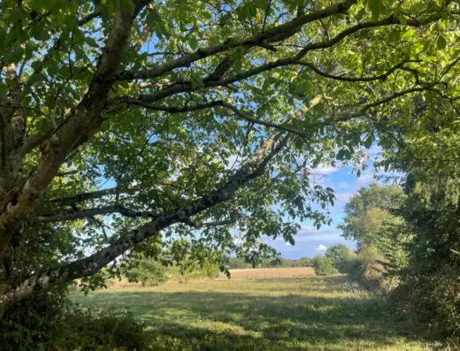Terrain de loisir à vendre.