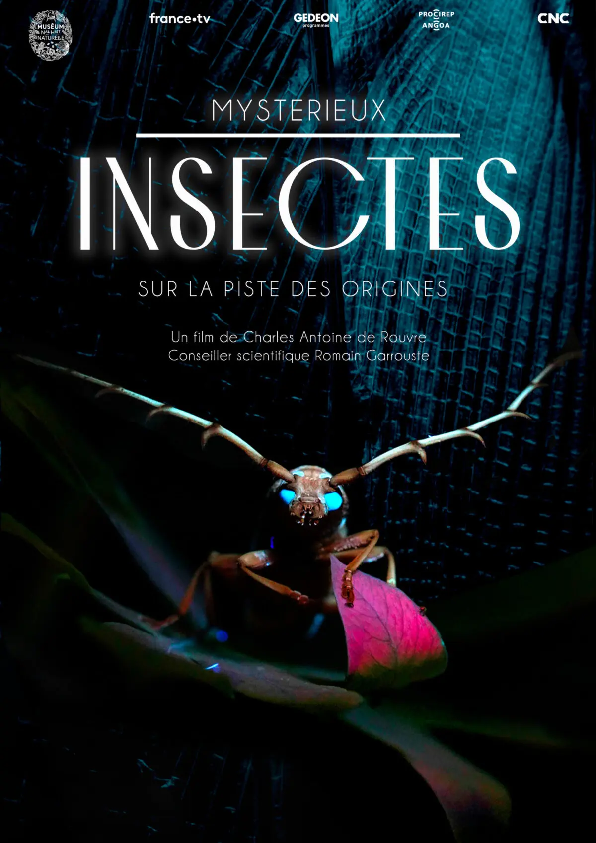MYSTERIEUX INSECTES SUR LA PISTE DES ORIGINES
