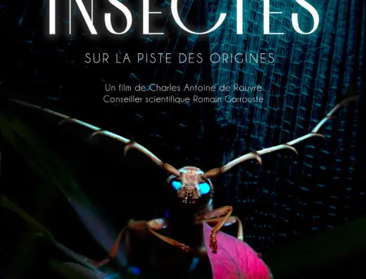 MYSTERIEUX INSECTES SUR LA PISTE DES ORIGINES