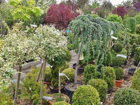Marché aux arbres et aux plantes