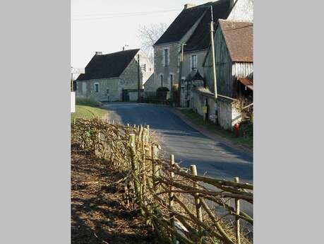 S&rsquo;initier au plessage des haies