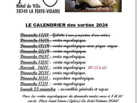 Sorties mycologiques