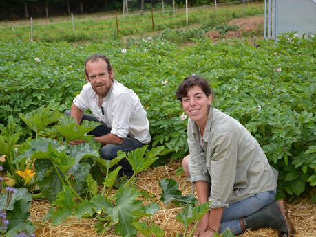 Vente de légumes bio par « Les Jardins d&rsquo;Orion »