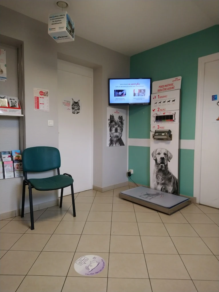 Clinique Vétérinaire du Centre