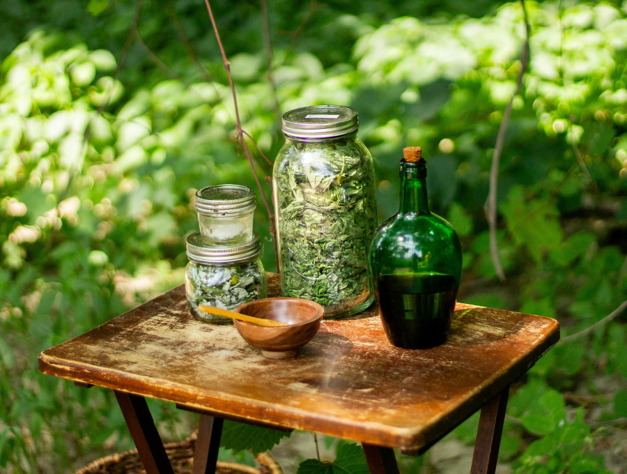 Découverte des plantes médicinales