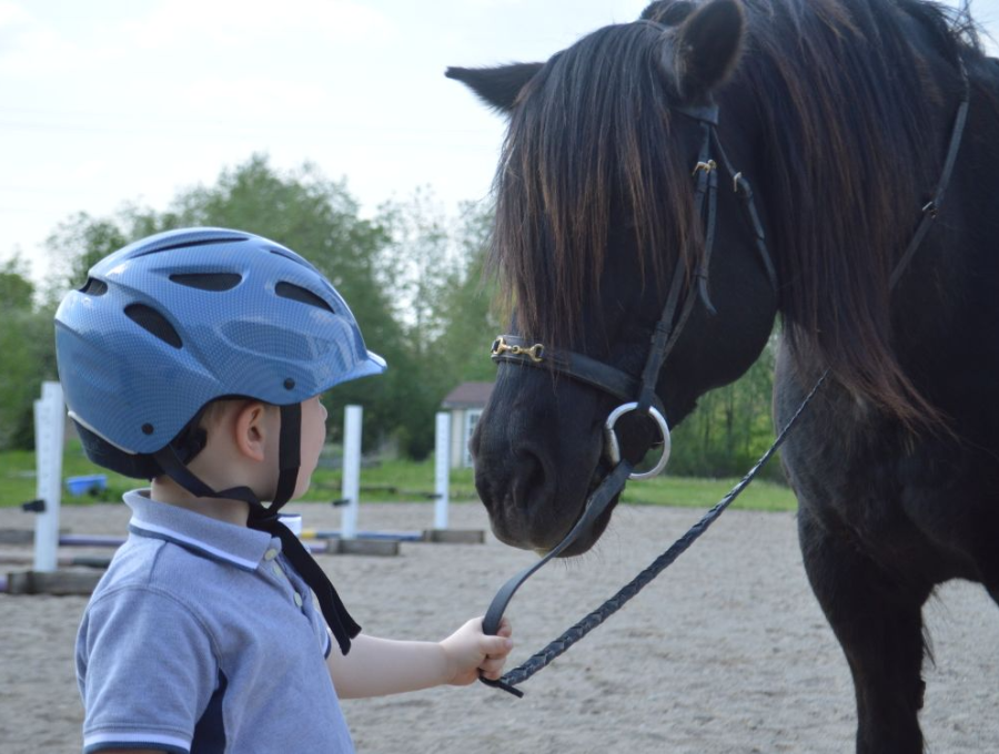 Fête du Poney Club