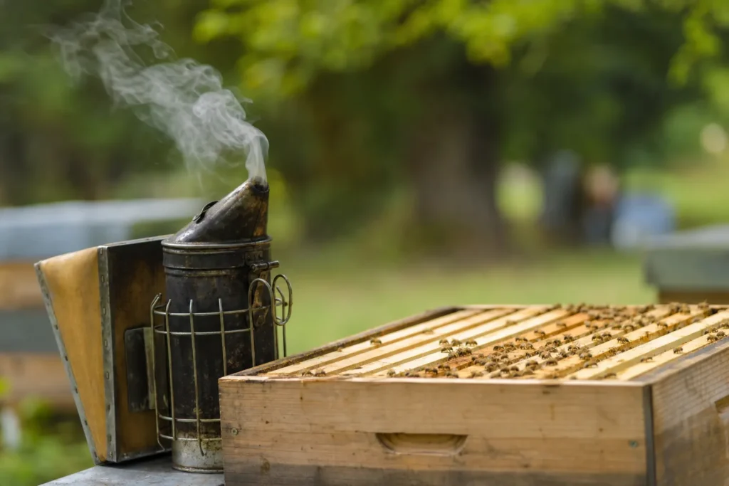 S&rsquo;initier à l&rsquo;apiculture (4ème séance/5)