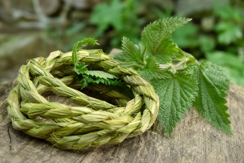 Ortie 1, cordage sauvage
