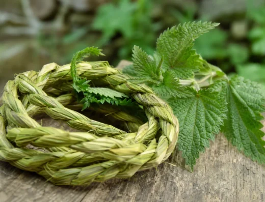 Ortie 1, cordage sauvage