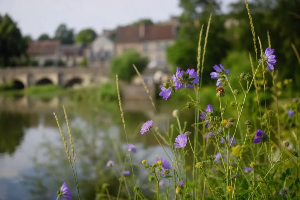 Ouverture du week-end de la biodiversité