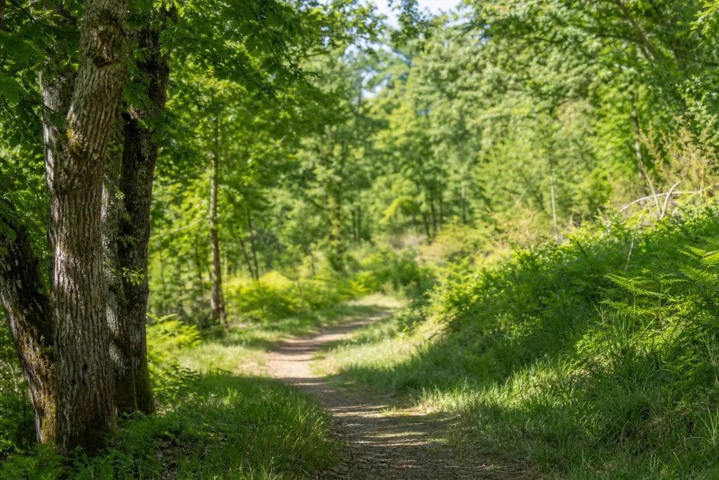 Sortie nature