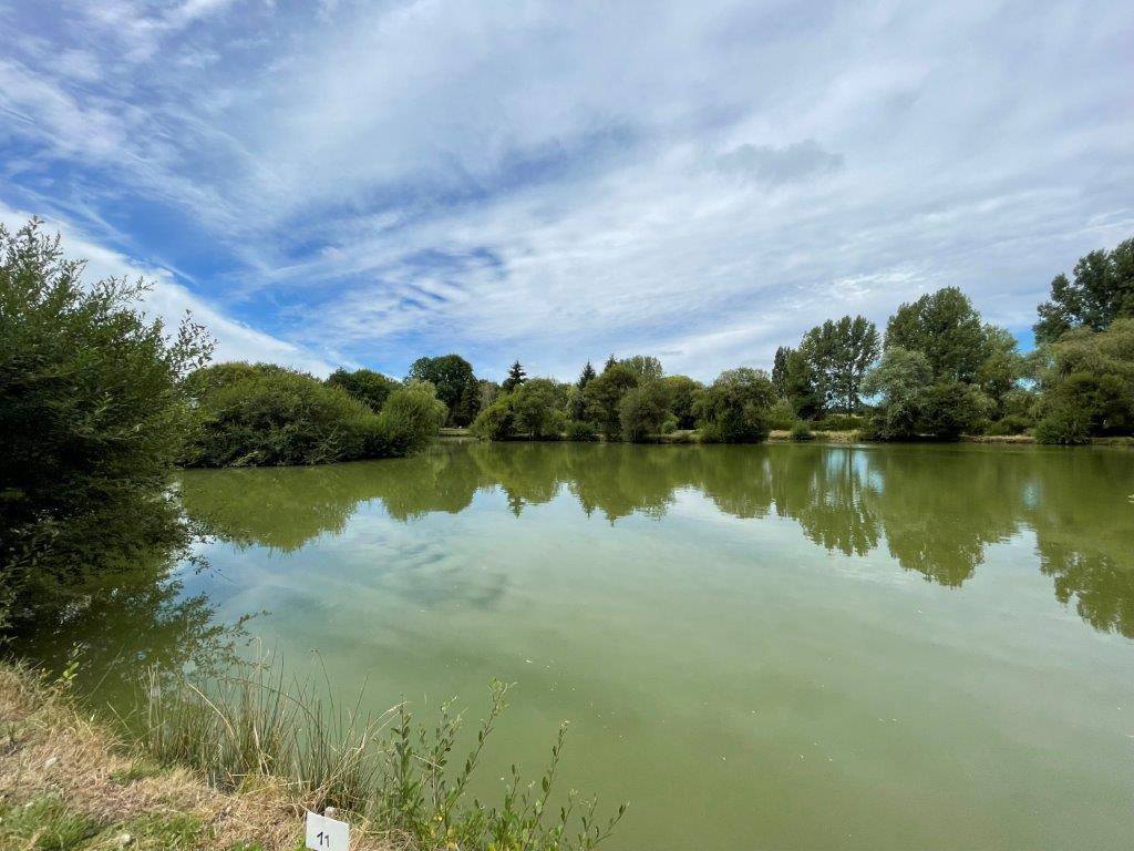 Terrain avec étang à vendre dans Le Perche Sarthois — photo 4/8