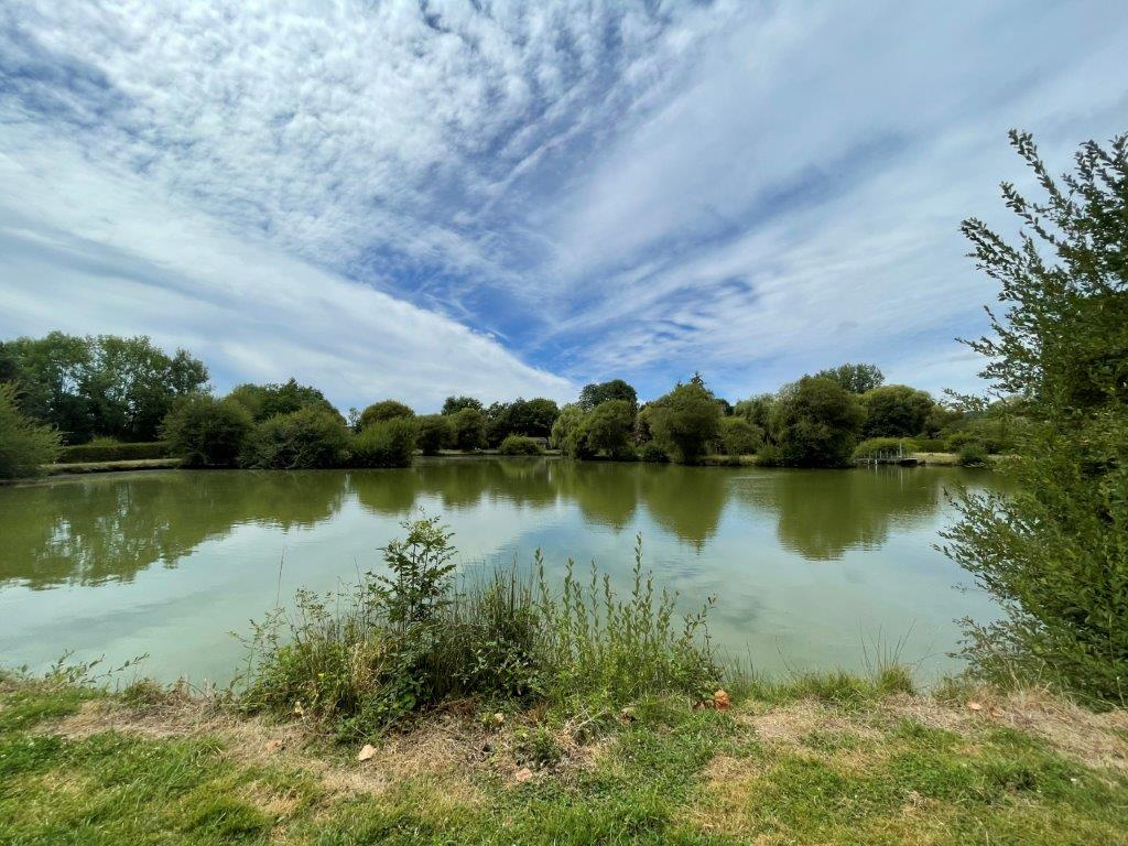 Terrain avec étang à vendre dans Le Perche Sarthois — photo 2/8