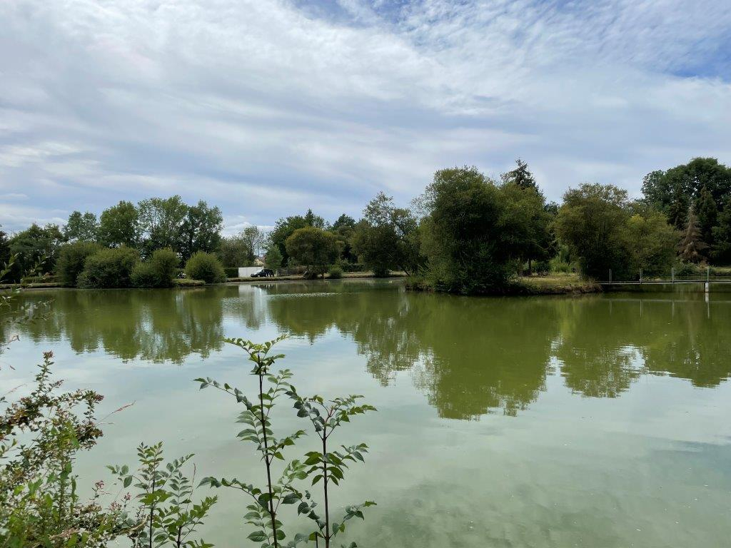 Terrain avec étang à vendre dans Le Perche Sarthois — photo 6/8