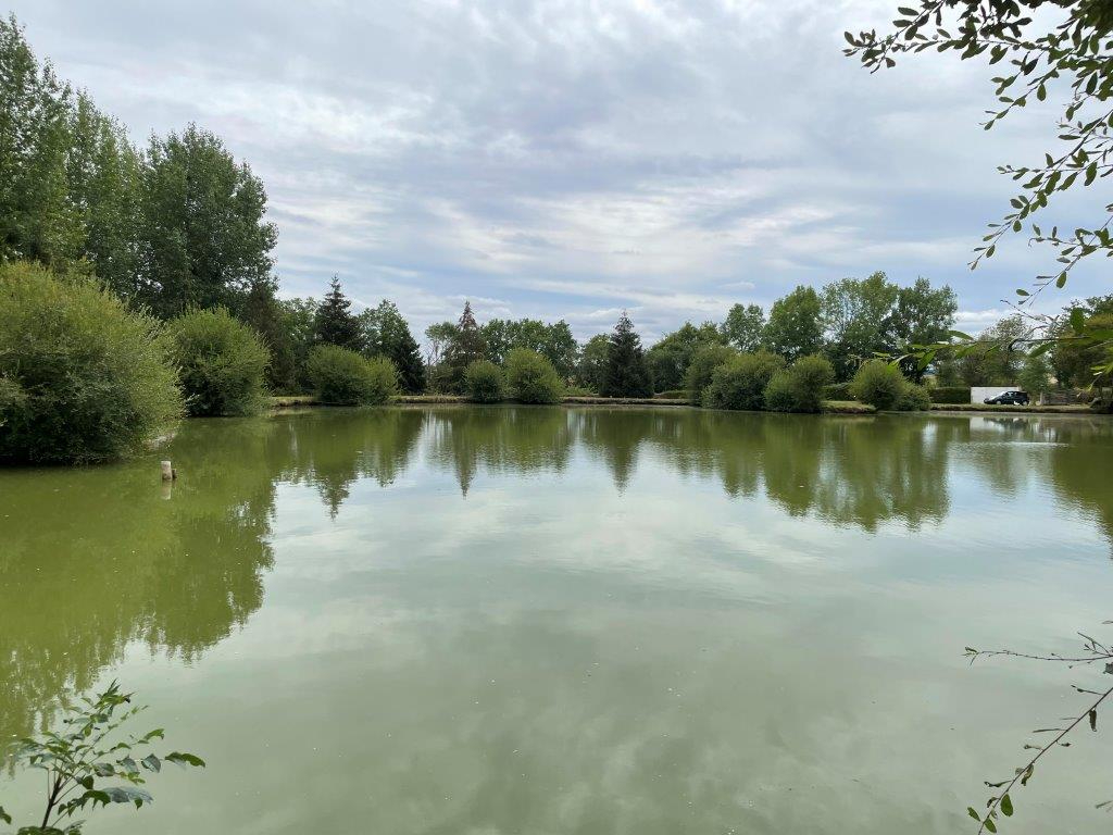 Terrain avec étang à vendre dans Le Perche Sarthois — photo 5/8