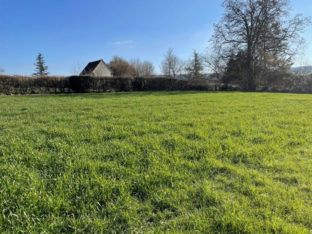 Terrain constructible proche Nogent Le Rotrou. — photo 1/3
