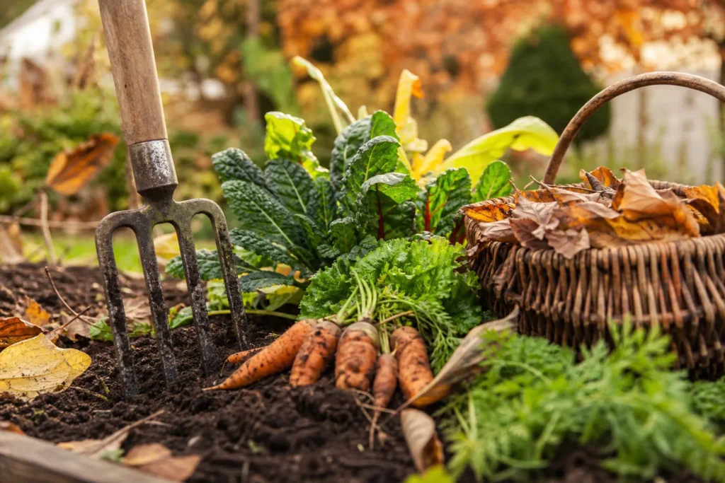 Atelier : Que faire au potager en automne ?