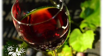 Soirée Beaujolais Nouveau