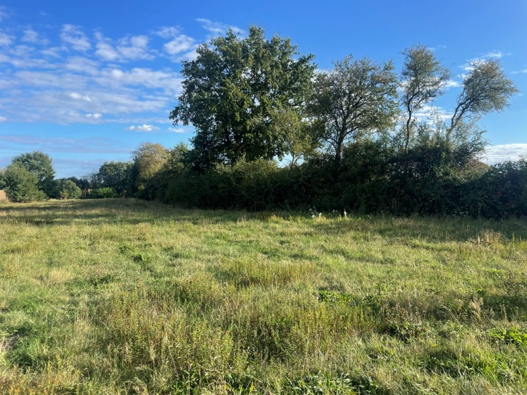 Terrain de loisir à vendre. — photo 6/7