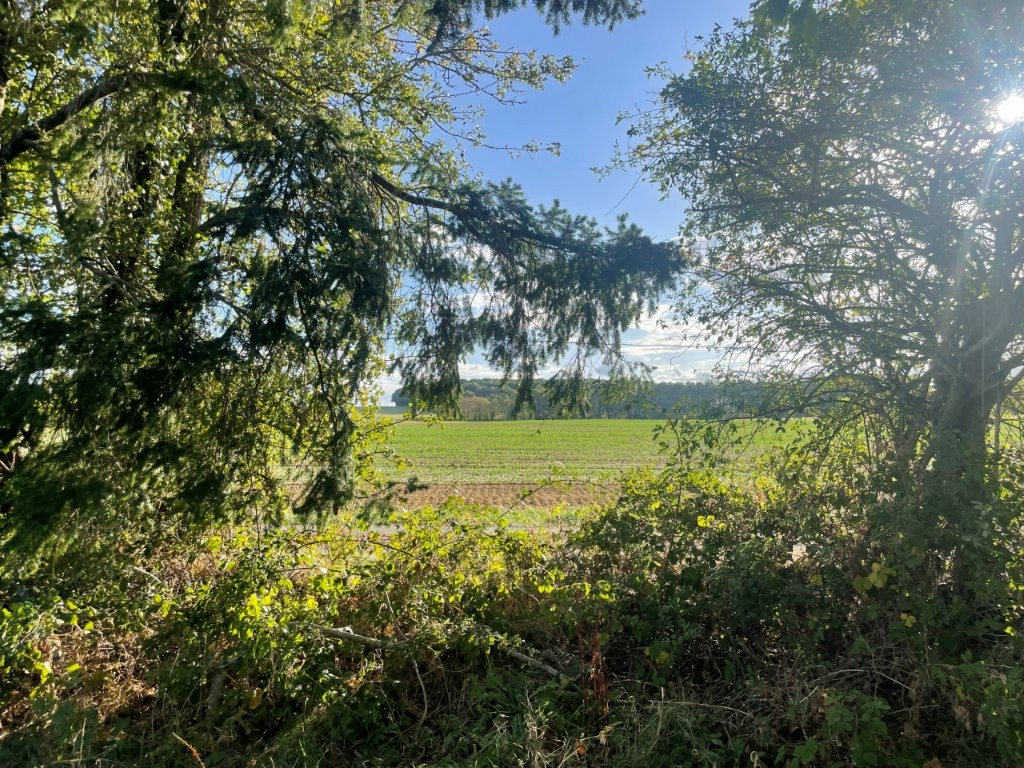 Terrain de loisir à vendre. — photo 7/7
