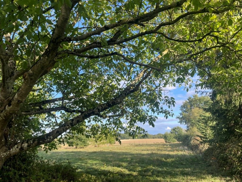 Terrain de loisir à vendre. — photo 1/7