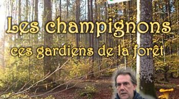 Apéritif & Conférence sur les champignons…